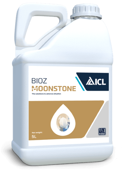 BIOZ Moonstone