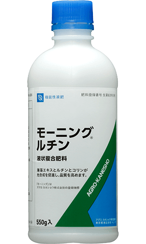 モーニングルチン