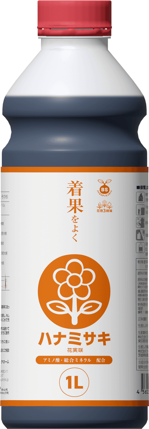 Hanamisaki