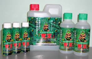 育王