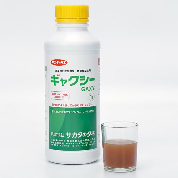GAXY