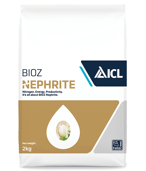 BIOZ Nephrite