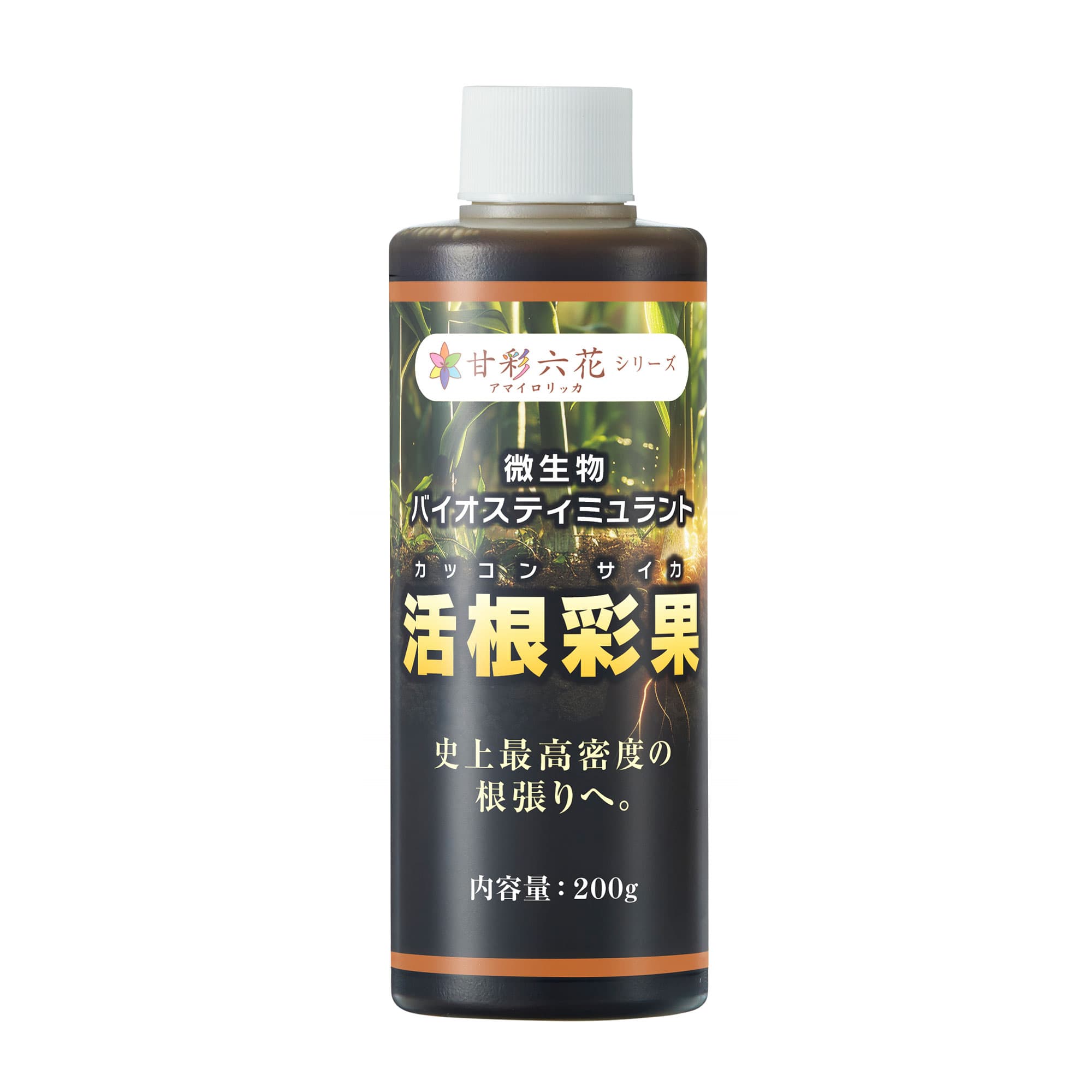 活根彩果