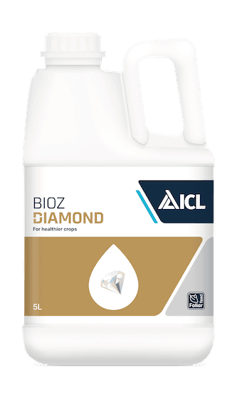 BIOZ Diamond