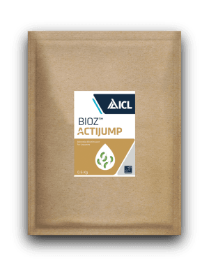 Actijump