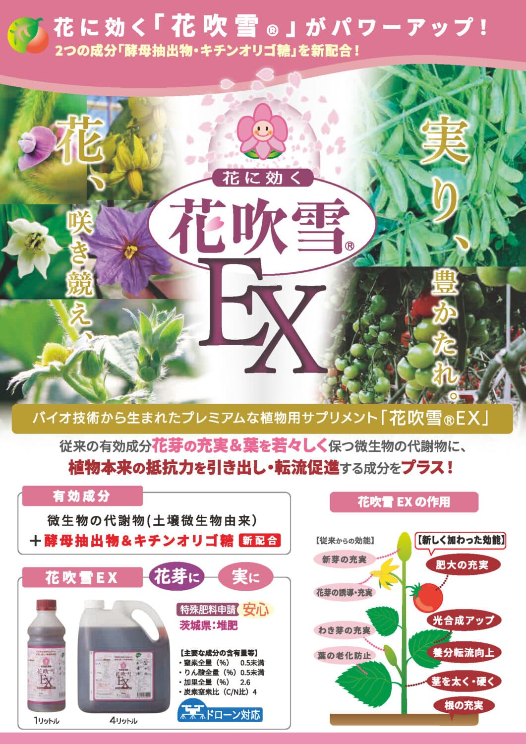 Hanafubuki EX