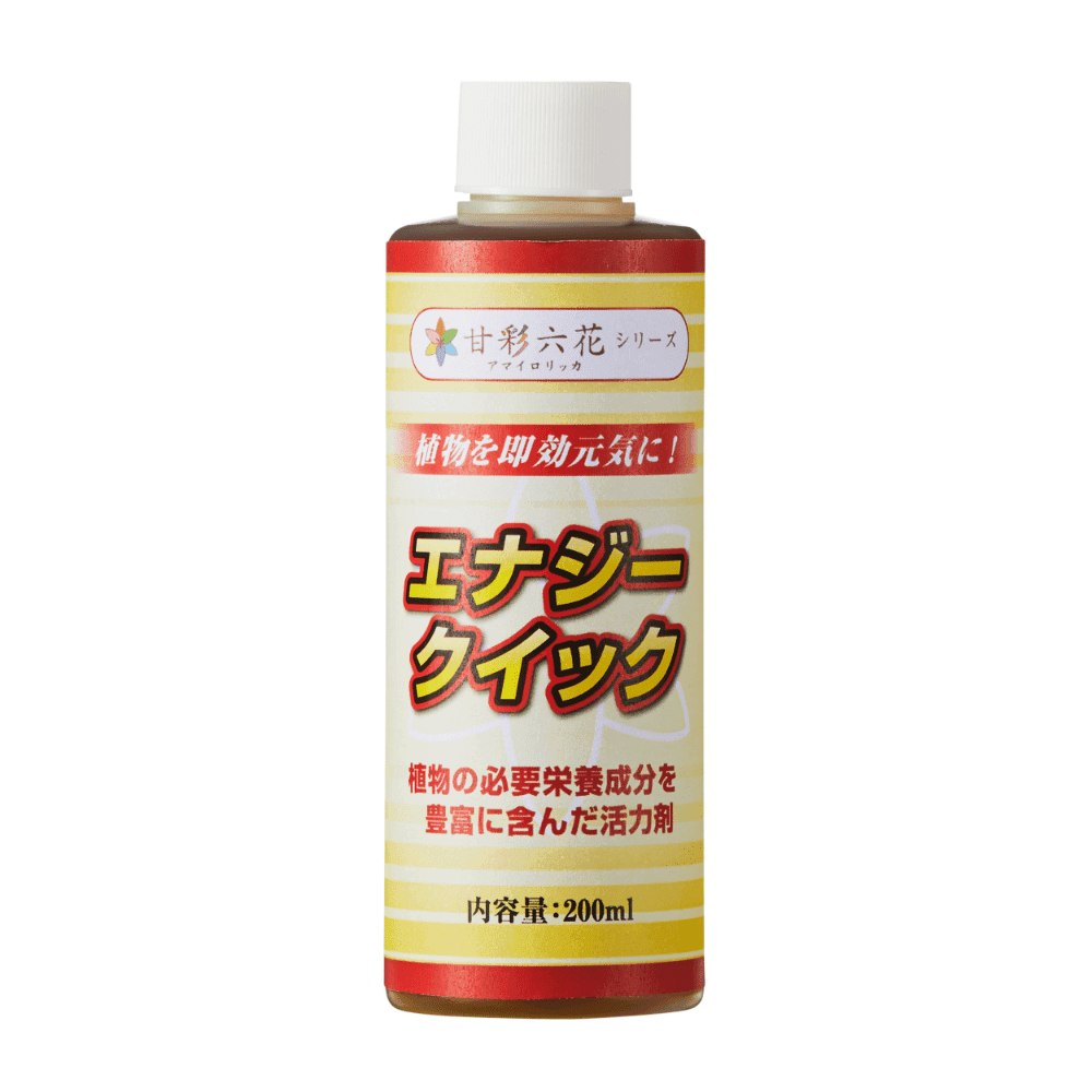 エナジークイック