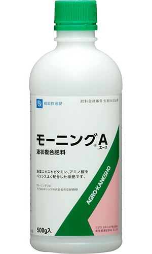 モーニングエース