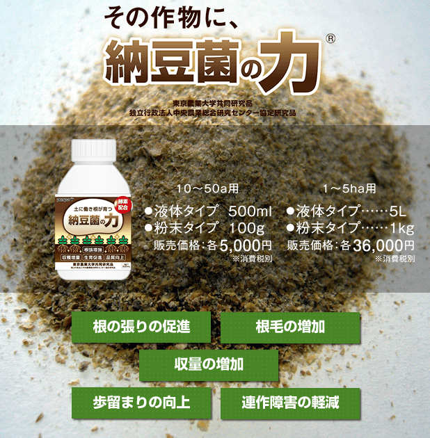 納豆菌の力