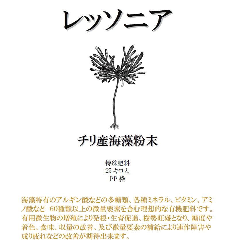 チリ産海藻粉末レッソニア