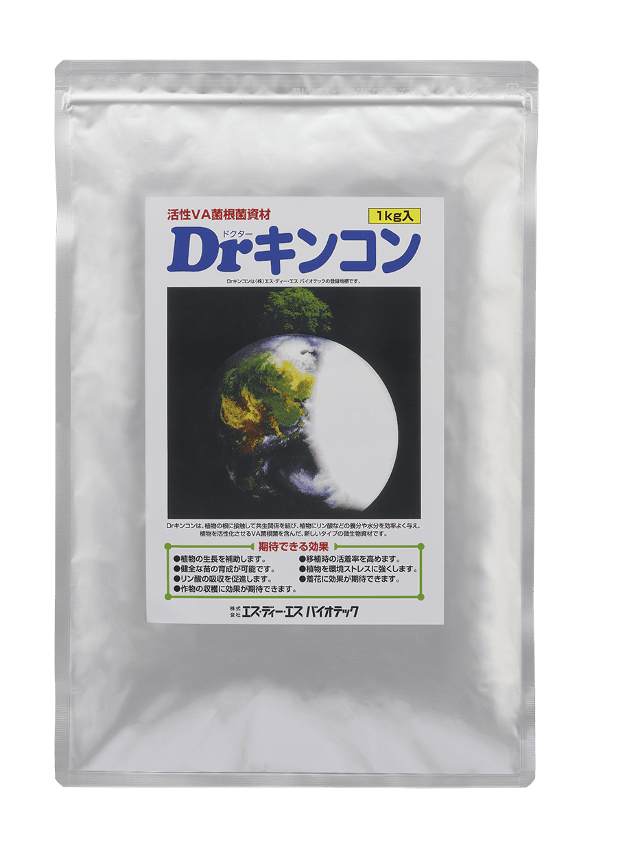 Drキンコン
