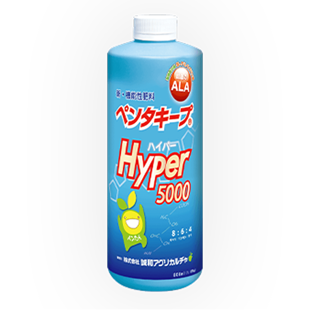 ペンタキープHyper5000