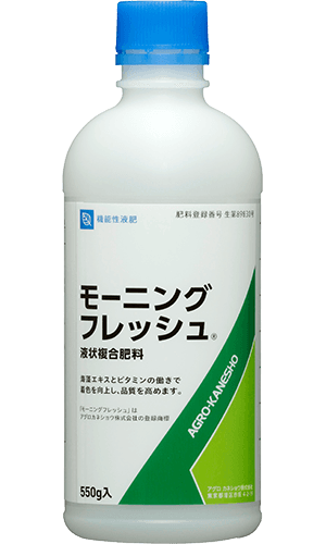 モーニングフレッシュ