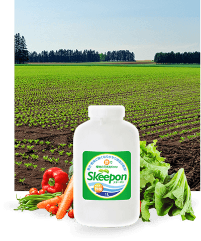 Skeepon